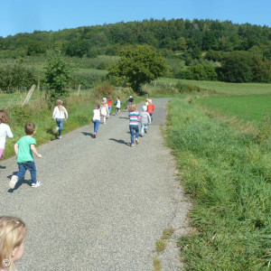 Wald- und Naturtag